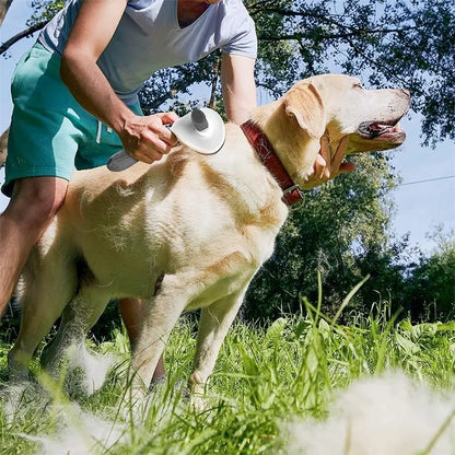 TOP PET Self-Cleaning Pet Slicker Brush