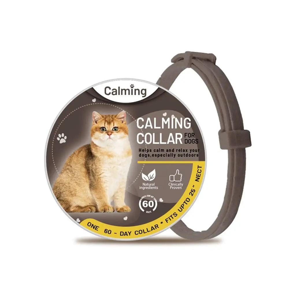 gray cat collar