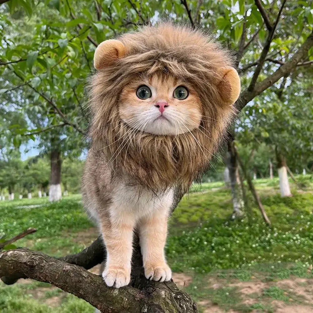 cat wearing lion costume standing on a tree branch