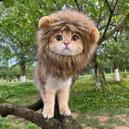 cat wearing lion costume standing on a tree branch