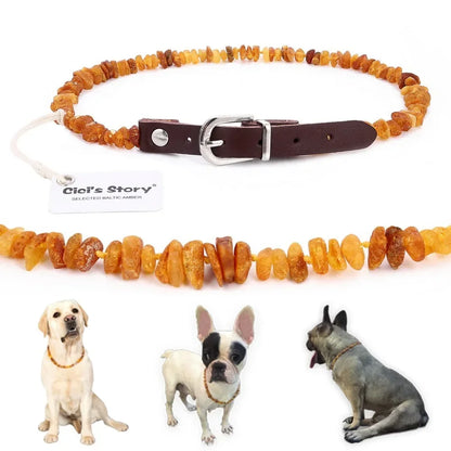 Amber necklace for pets shown on dogs