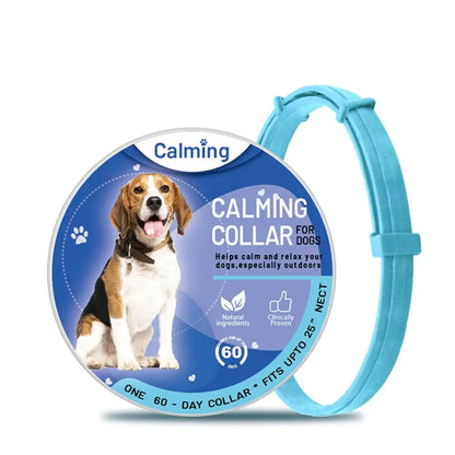 Light blue dog collar