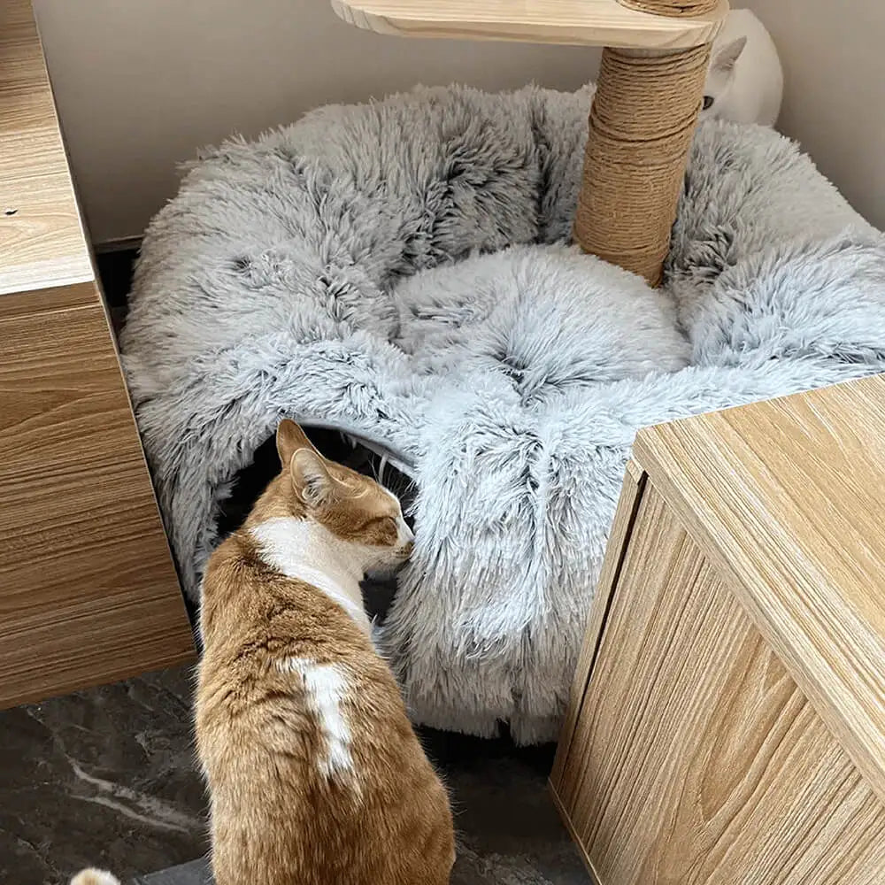 Bed placed corner of home with cat.