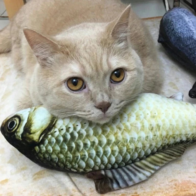 Cat with Asian carp toy