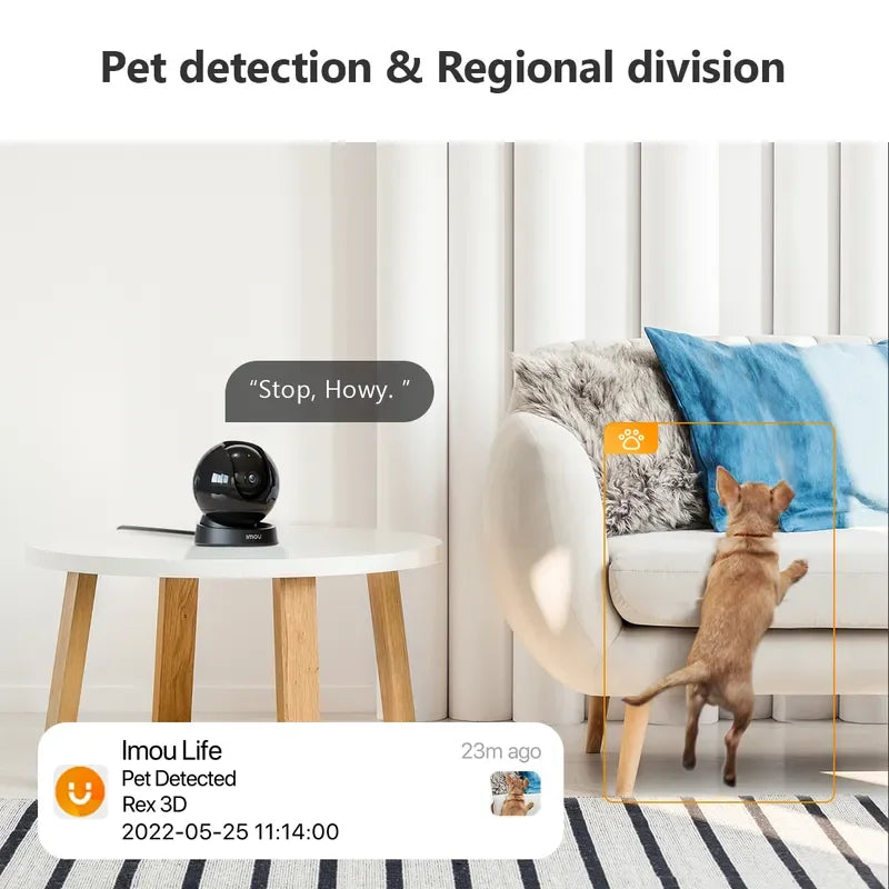 Pet detection and regional division