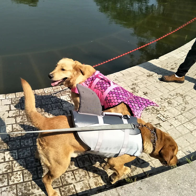 golden retriever dogs wearing lifejackets while going on a leashed walk