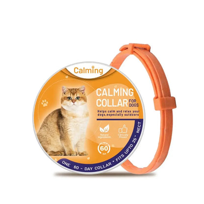 Orange cat collar