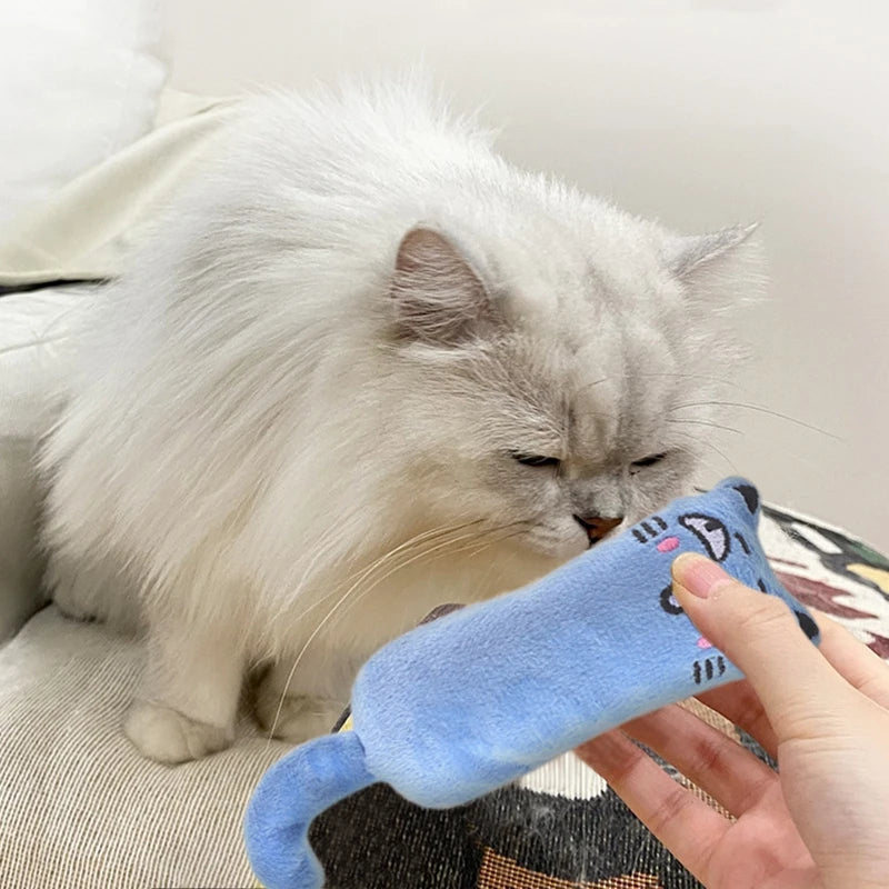 cat playing with blue plush catmint cat toy