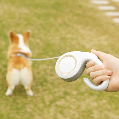 person using leash with small dog