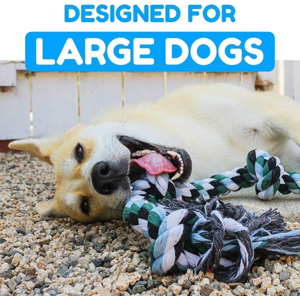 Designed for large dogs.