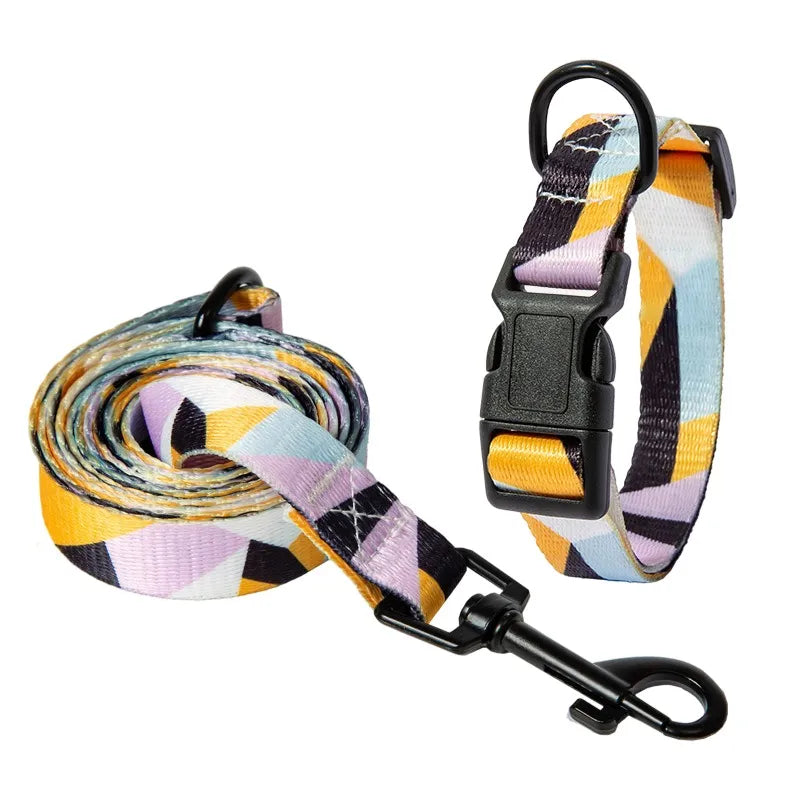 dog collar and leash set