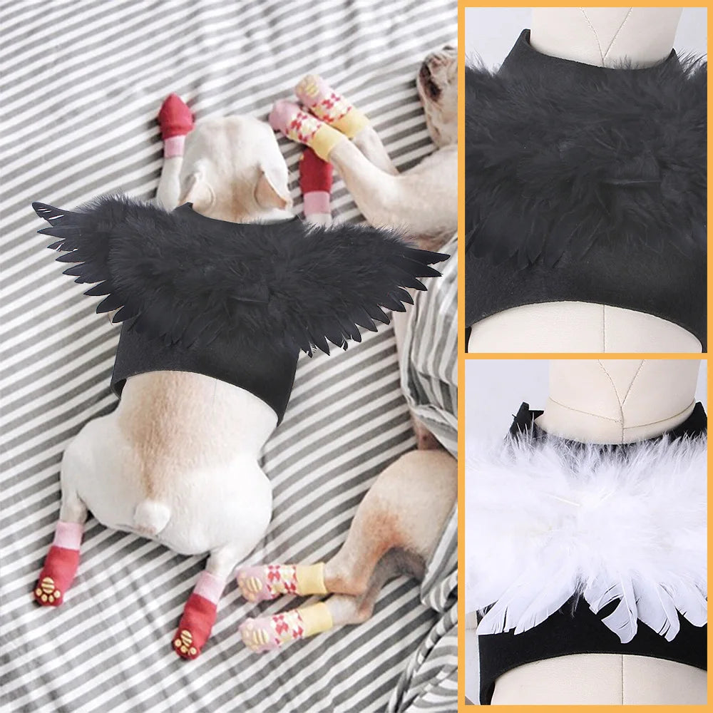 dog wearing black angel wing costume