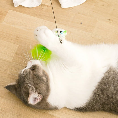 cat playing with wand toy