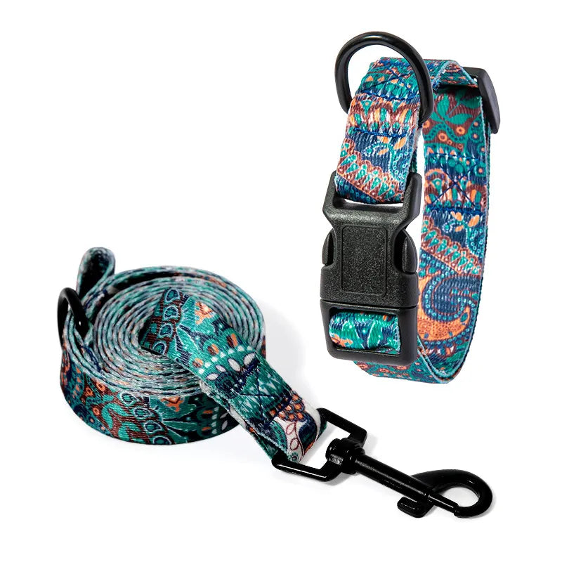 dog collar and leash set