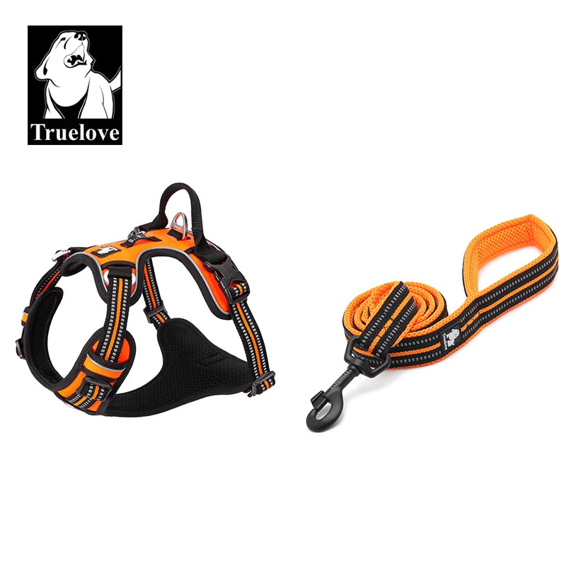 TRUELOVE Padded Harness And Leash Set with 3M Scotchlite