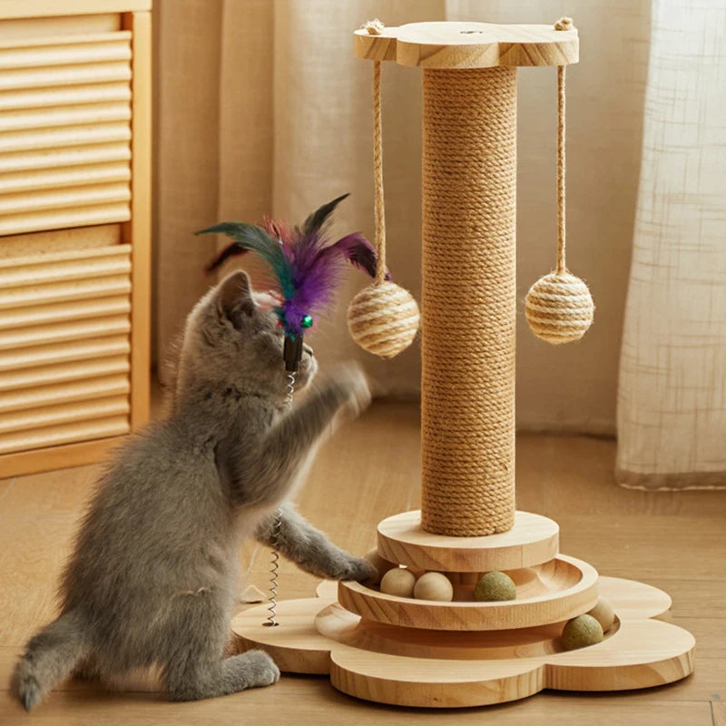 cat playing with wooden cat scratcher track toy