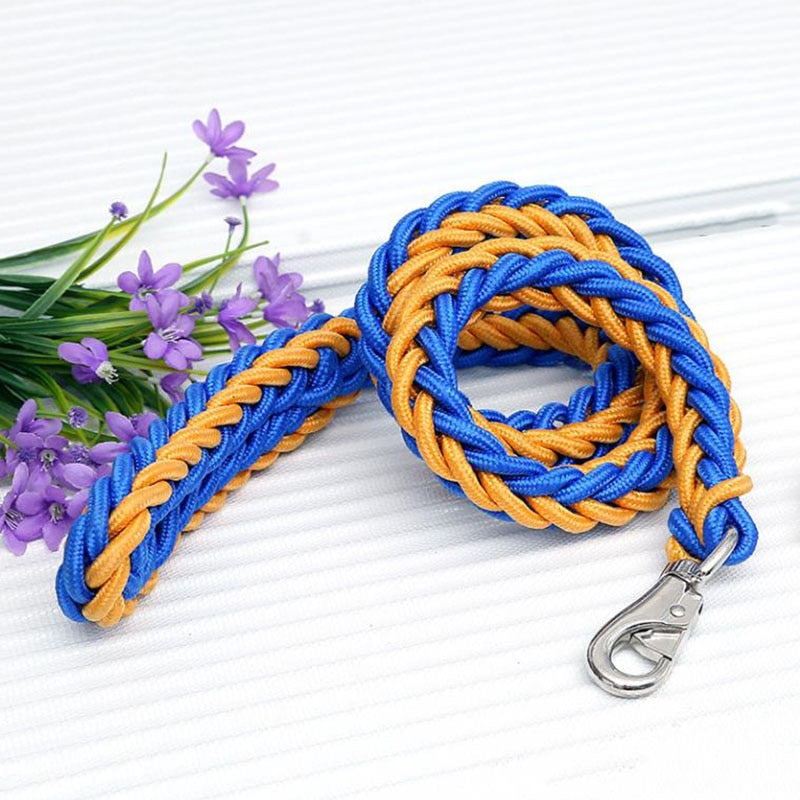 dual colored rope leash