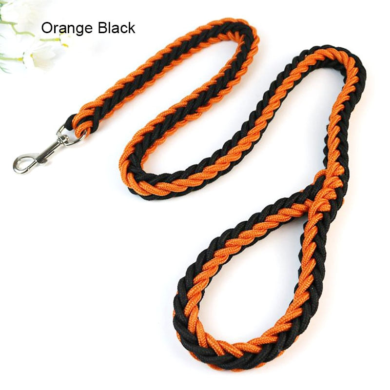 dual colored rope leash