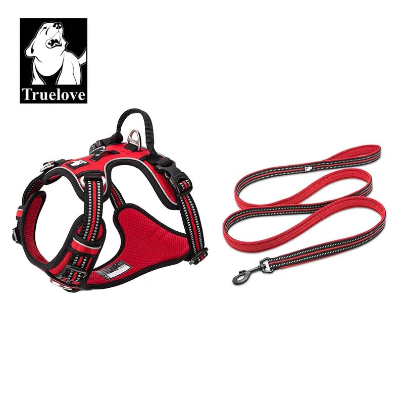 TRUELOVE Padded Harness And Leash Set with 3M Scotchlite