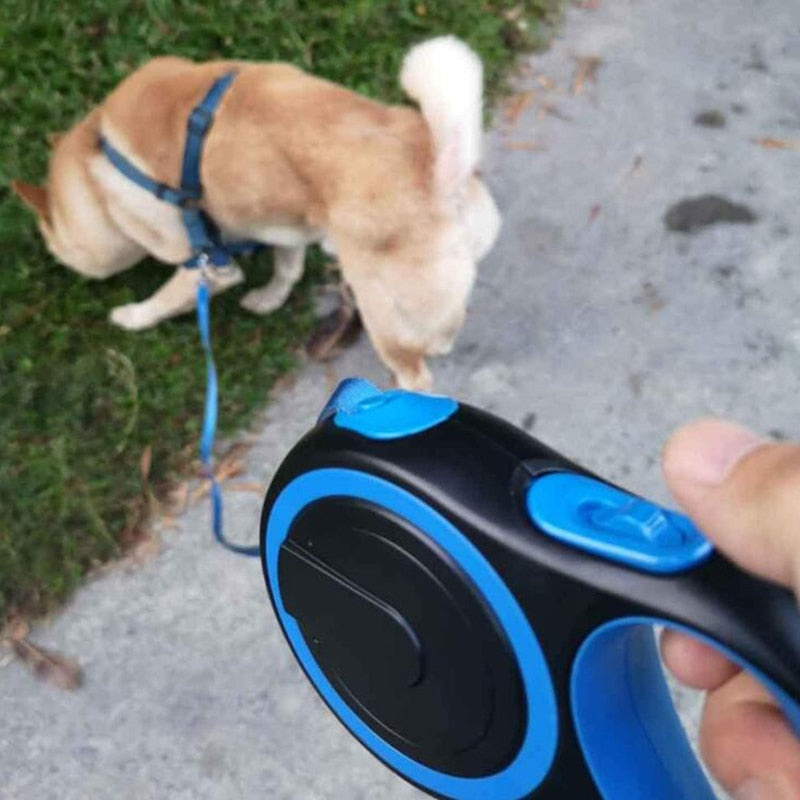 Product in use walking a dog