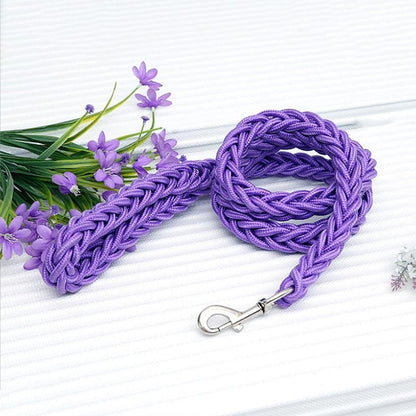 purple rope dog leash