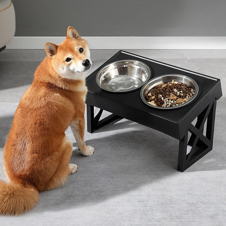 feeding set shown elevated and angled in front of dog