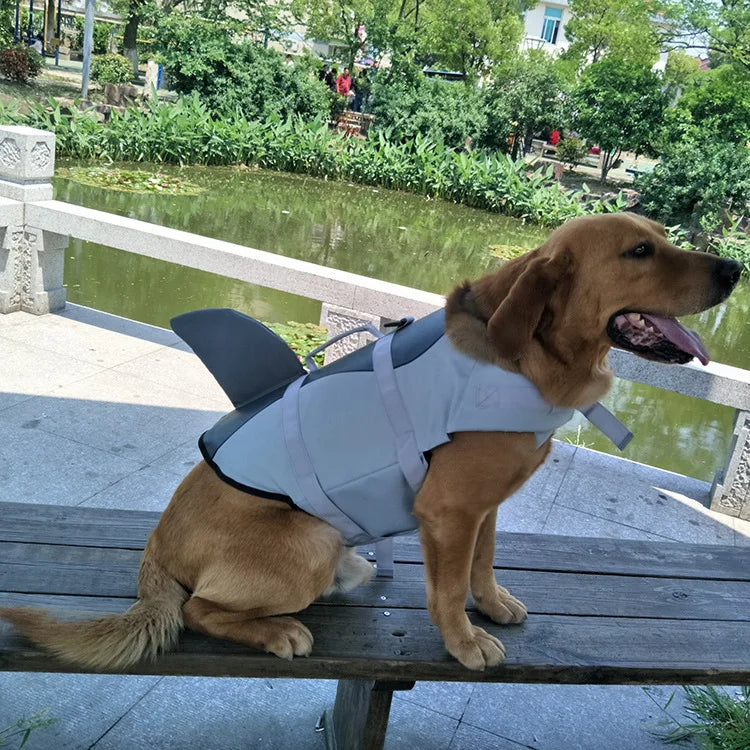 side view of golden retriever dog wearing shark style lifejacket