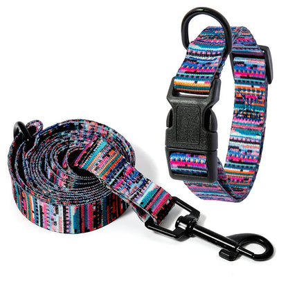 dog collar and leash set