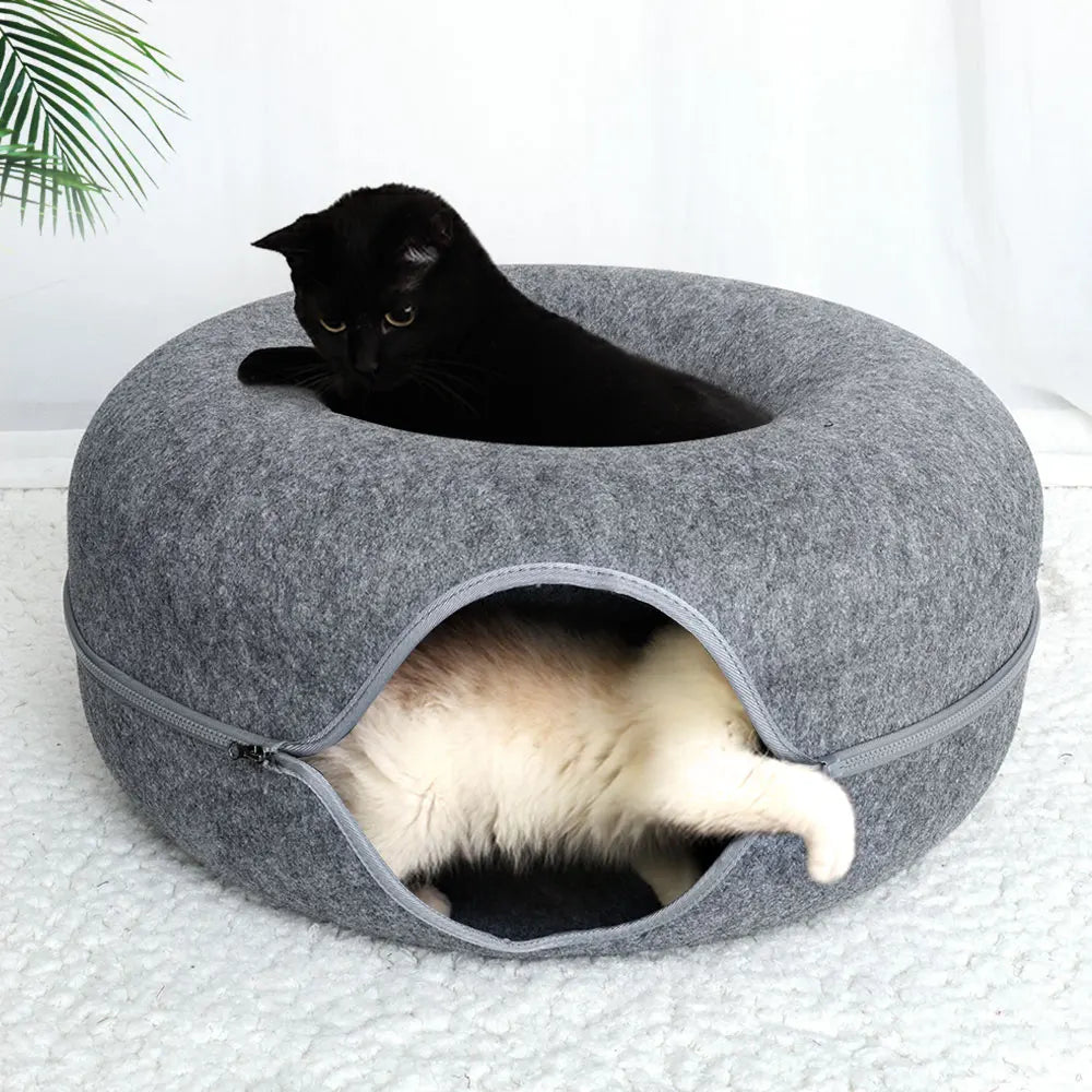 dark gray cat donut bed with cats playing on or in it