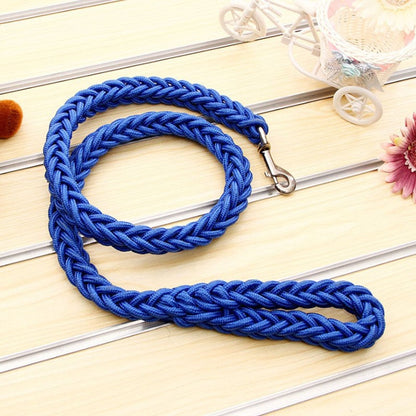 blue rope dog leash