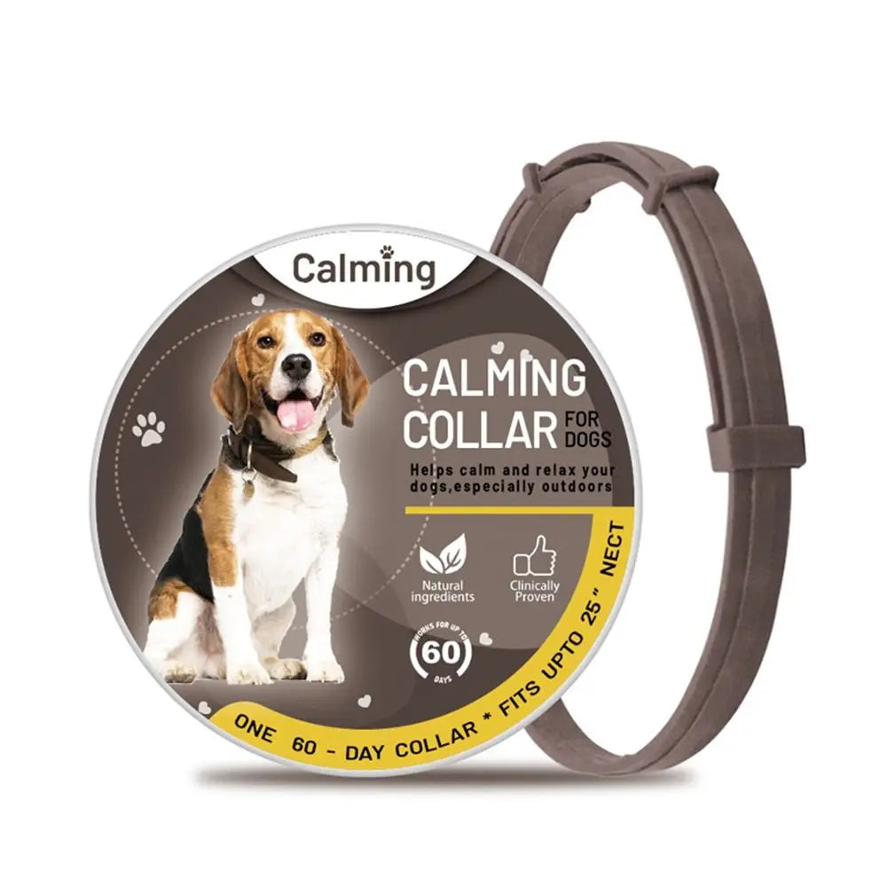 Gray dog collar