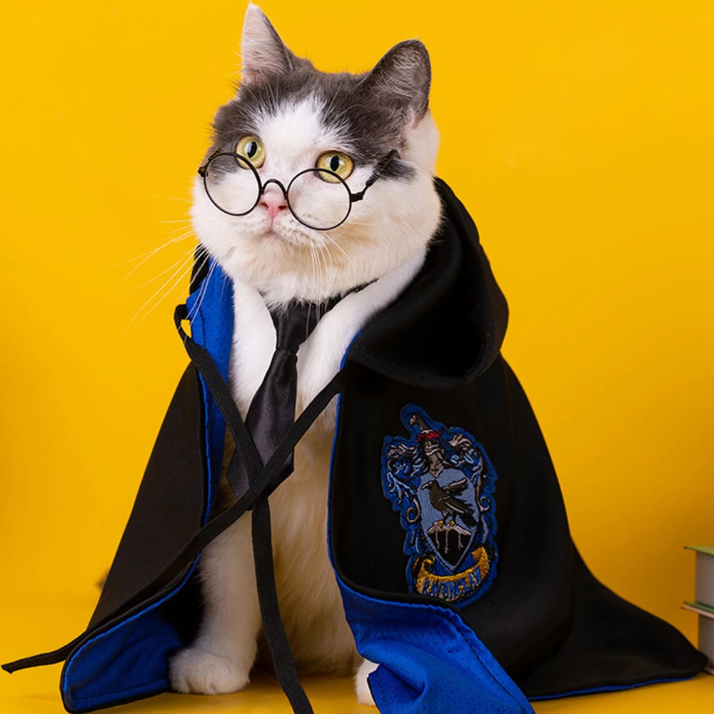 cat wearing black and blue Hogwarts costume