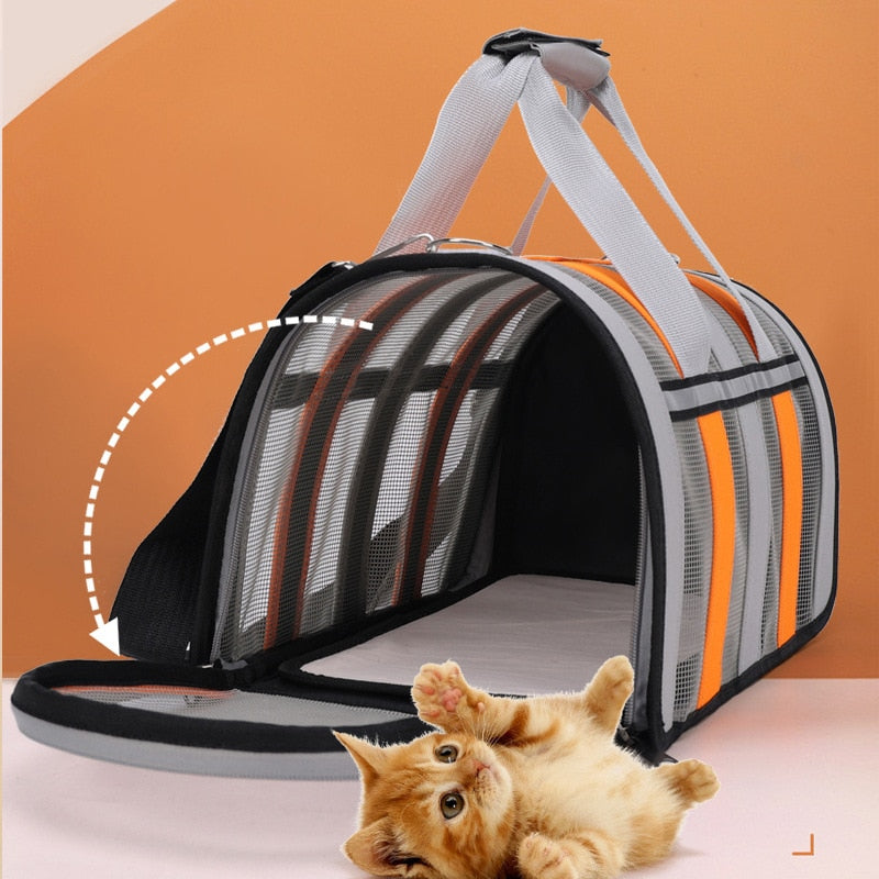 Product image showing opening of bag compared to kitten size.