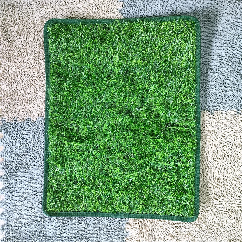 artificial pet grass on carpet