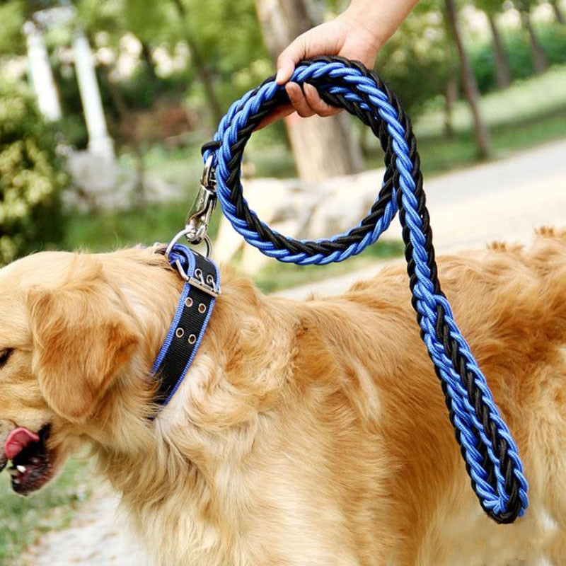 dual colored rope leash with dog