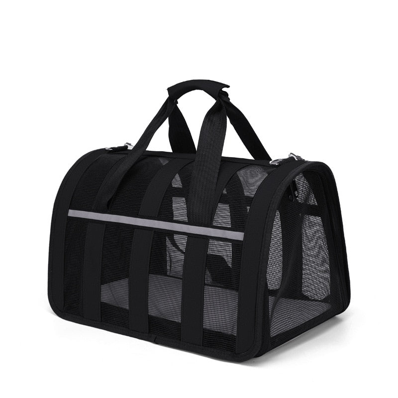 Black cat carrying bag