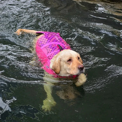 golden retriever dog swimming while wearing mermaid style lifejacket