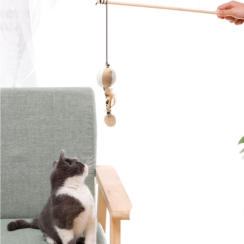 person using wand toy to play with cat