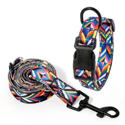 dog collar and leash set