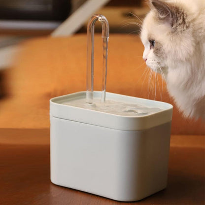 white cat drinking from white water fountain