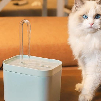 white pet water fountain with white cat