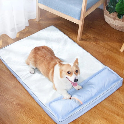 corgi on bed