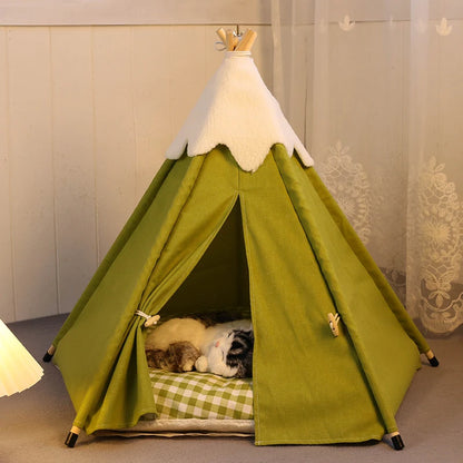 cat in tent