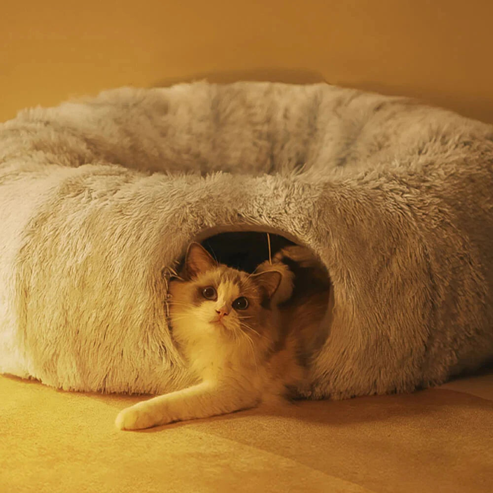 A semi-enclosed donut shaped plush cat bed and one cat.