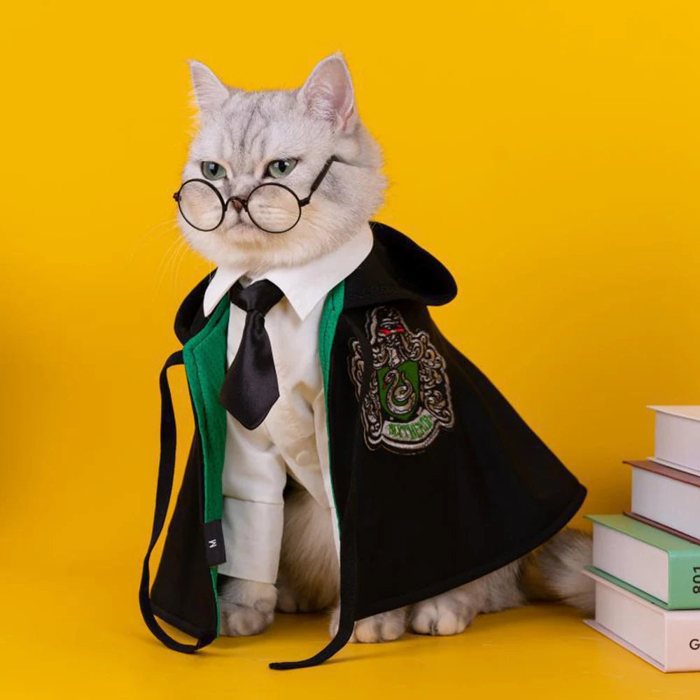 cat wearing black and green Hogwarts costume