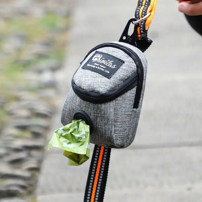 Product shown in gray attached by the clip to a leash.