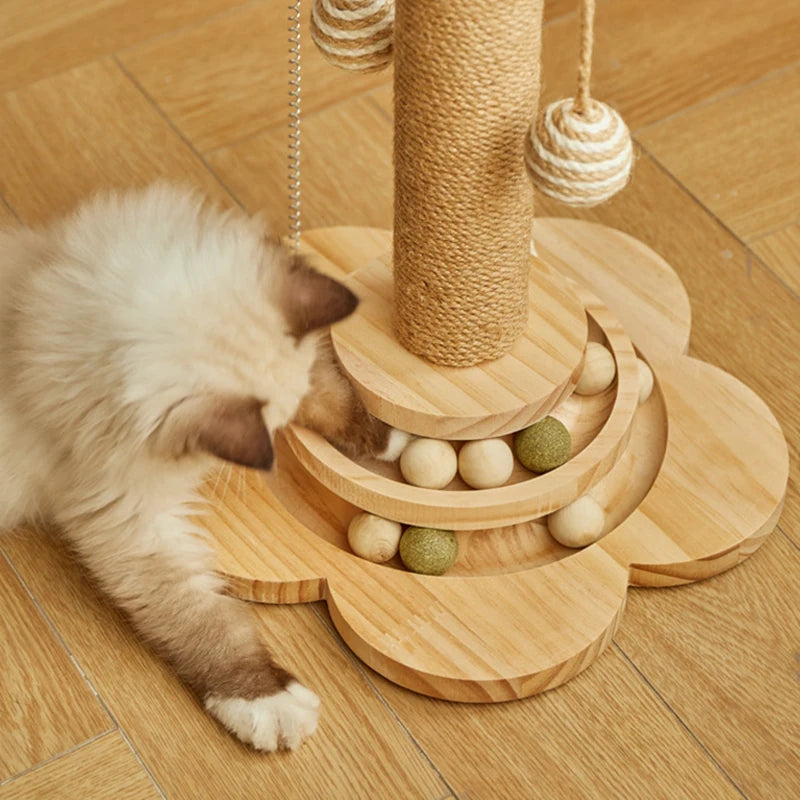 cat playing with wooden cat scratcher track toy