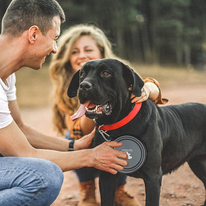 REST-EAZZZY Collapsible Travel Pet Bowl - 2-Pack