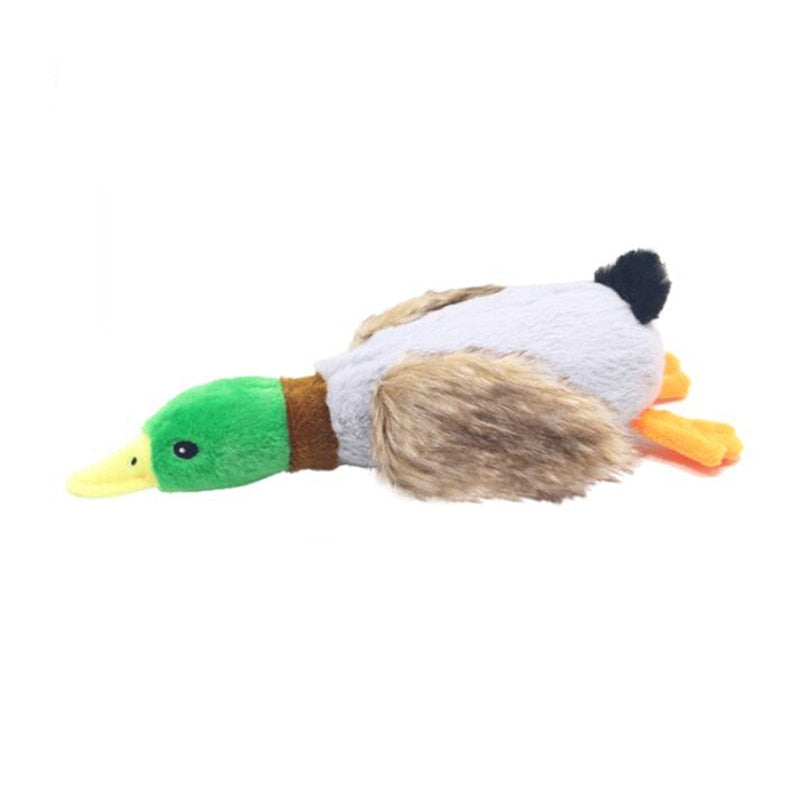 plush duck dog toy