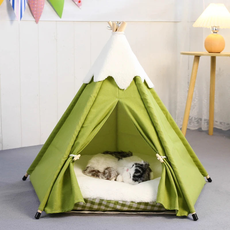 cat in tent